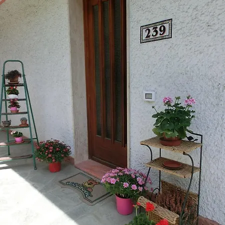 فندق مبيت وإفطار La Palma كامبوروسو