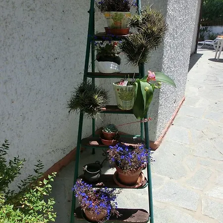 La Palma B&B *