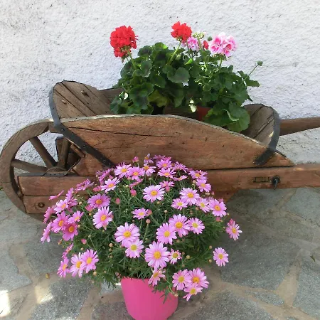 La Palma B&B 캄포로소