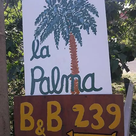 La Palma